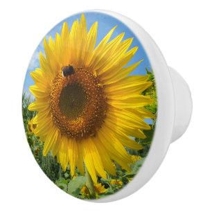 Bouton De Porte En Céramique nature, fleur, été, tournesol, floraison, floral