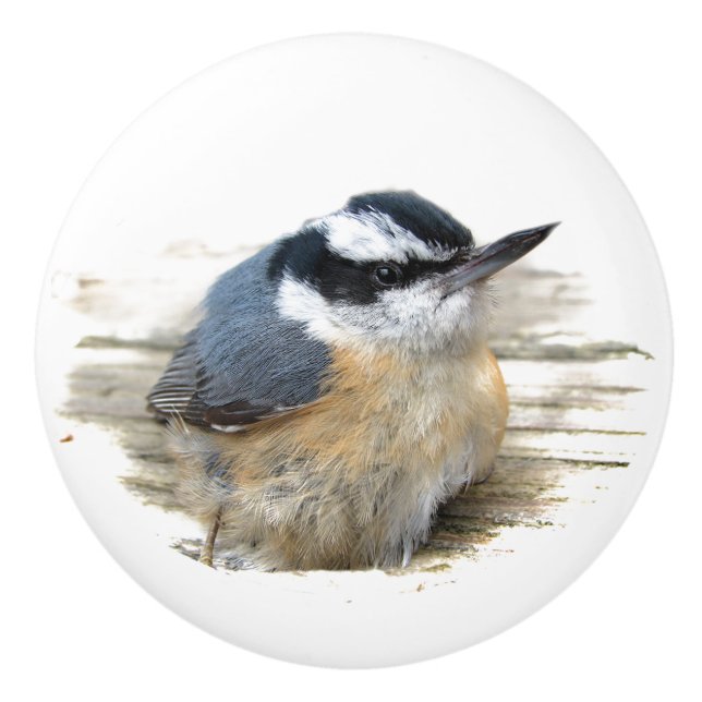 Bouton De Porte En Céramique Noeud en céramique Nuthatch (Devant)
