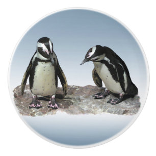 Bouton De Porte En Céramique Noir et Blanc Pingouins Ceramic Knob