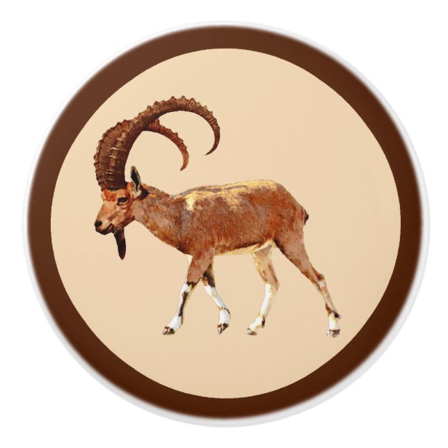 Bouton De Porte En Céramique Nubian Ibex - Ein Gedi (Devant)