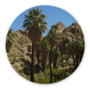Bouton De Porte En Céramique Oasis Lost Palms I dans le parc national de Joshua