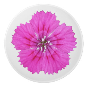 Bouton De Porte En Céramique Œillet Rose