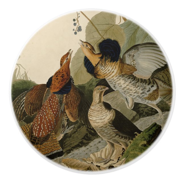 Bouton De Porte En Céramique Oiseau de gibier Audubon (Devant)
