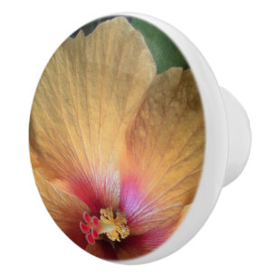 Bouton De Porte En Céramique Orange Hibiscus Ruffle