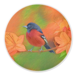 Bouton De Porte En Céramique Orchard Oriole Songbird Peinture Oiseau original