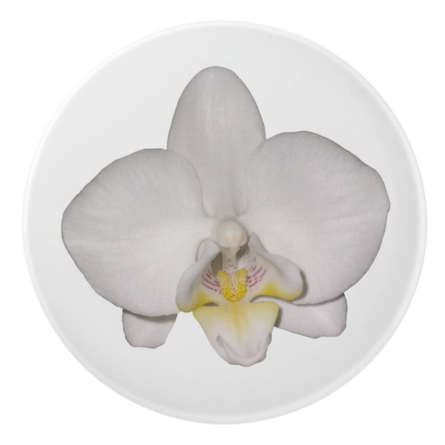 Bouton De Porte En Céramique Orchidée blanche (Devant)