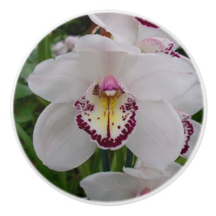 Bouton De Porte En Céramique Orchidée blanche II Élégante florale