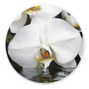 Bouton De Porte En Céramique Orchidée émergeant de l'armoire d'eau et de la c