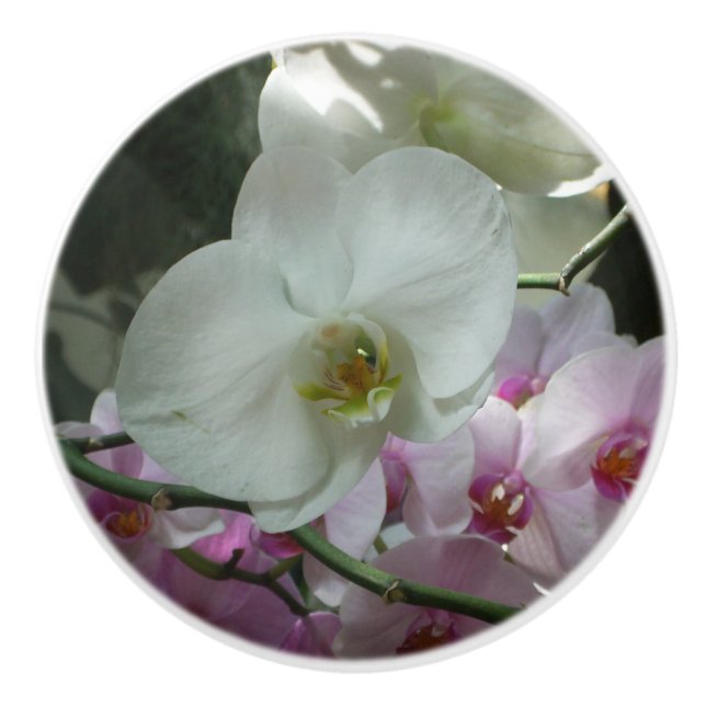 Bouton De Porte En Céramique Orchidées blanches et violettes (Devant)