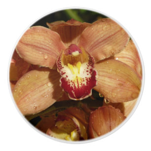 Bouton De Porte En Céramique Orchidées pêche avec fleurs aux gouttes de pluie