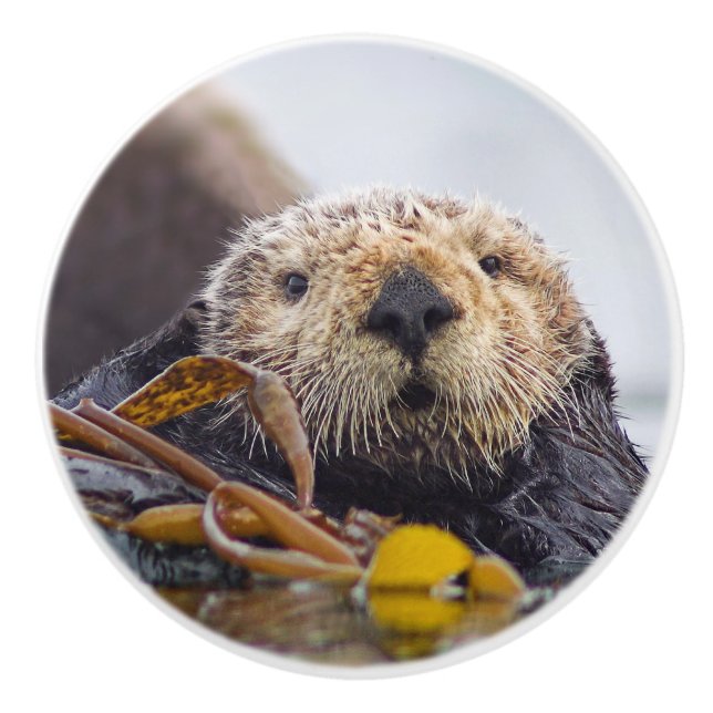 Bouton De Porte En Céramique Otter Surprise Knob (Devant)