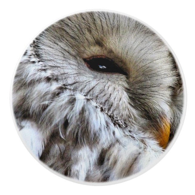 BOUTON DE PORTE EN CÉRAMIQUE OWLS (Devant)