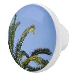 Bouton De Porte En Céramique Palme tropicale