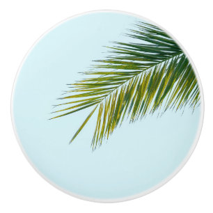Bouton De Porte En Céramique Palmier Vert Tropical sur Fond Bleu Clair