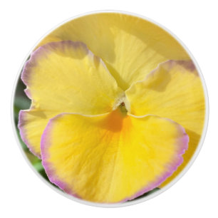 Bouton De Porte En Céramique Pansement jaune