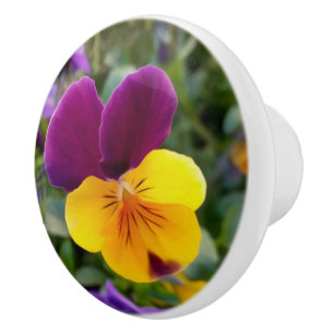 Bouton De Porte En Céramique Pansies lumineuses