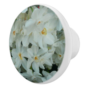 Bouton De Porte En Céramique Paperwhite Narcissus Fleurs blanches délicates