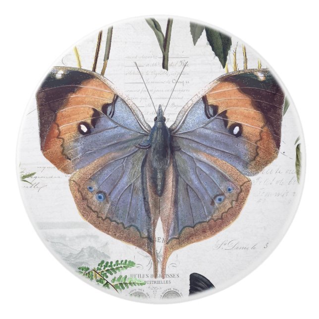 Bouton De Porte En Céramique Papillon botanique floral Vintage Cottage ivoire 3 (Devant)