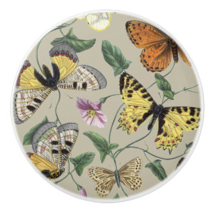 Bouton De Porte En Céramique Papillon de nuit vintage 1842 Art botanique floral
