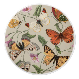 Bouton De Porte En Céramique Papillon Moth Nature Collection Dessin