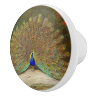 Bouton De Porte En Céramique Papillon Peacock et Peacock, illustration artistiq