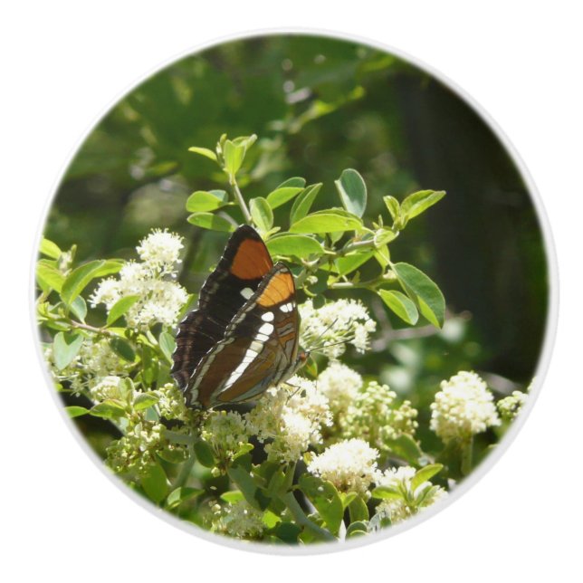 Bouton De Porte En Céramique Papillon-soeur de Californie en Yosemite (Devant)