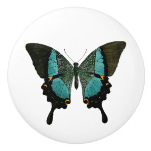 Bouton De Porte En Céramique Papillon turquoise