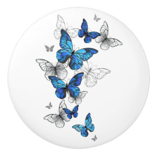 Bouton De Porte En Céramique Papillons volants bleus Morpho