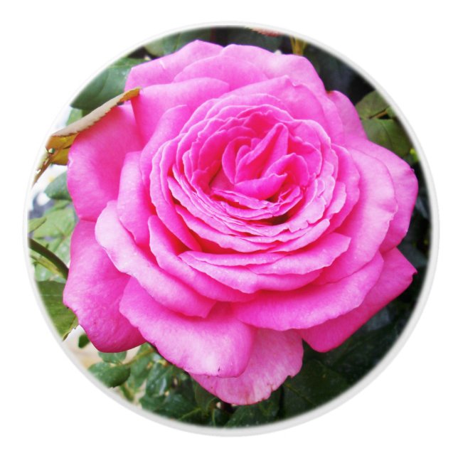 Bouton De Porte En Céramique Passion rose, (Devant)