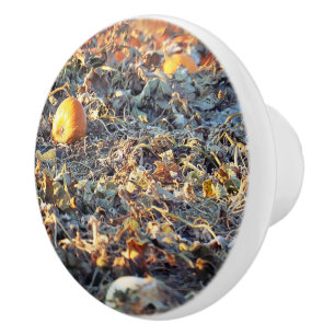 Bouton De Porte En Céramique Patch de citrouilles givré