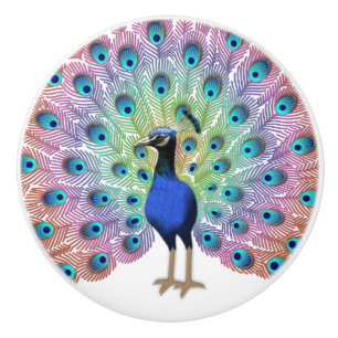 Bouton De Porte En Céramique Peacock coloré