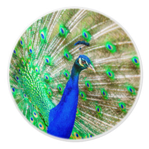 Bouton De Porte En Céramique Peacock Plumage
