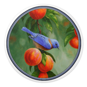 Bouton De Porte En Céramique Pêche à l'ornithologie occidentale et pêche mûre