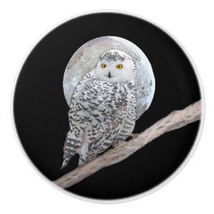 Bouton De Porte En Céramique Peinture sur la Chouette des neiges et la Lune - A
