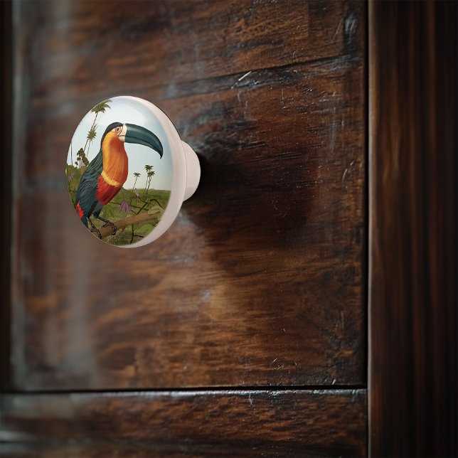 Bouton De Porte En Céramique Peinture Toucan (Créateur téléchargé)