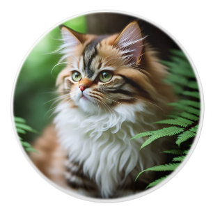 Bouton De Porte En Céramique "Peluche et Câlins : Le Chat Persan Rondouillard"