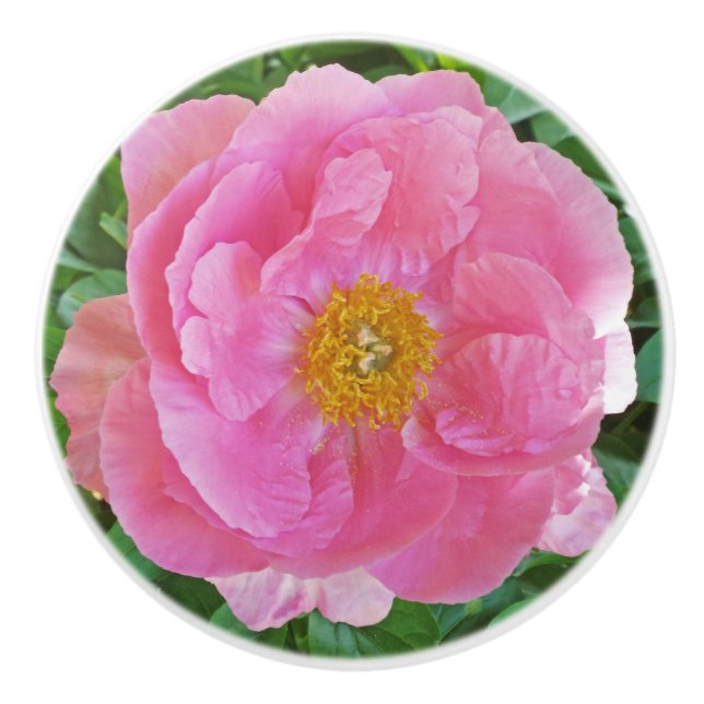 BOUTON DE PORTE EN CÉRAMIQUE PEONY ROSE-CANDY (Devant)