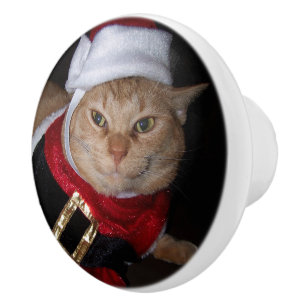 Bouton De Porte En Céramique Père Noël Orange Tabby Cat Knob