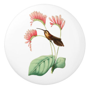 Bouton De Porte En Céramique Petit colibri d'ermite