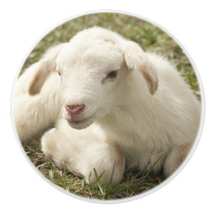 Bouton De Porte En Céramique Petit enfant mignon