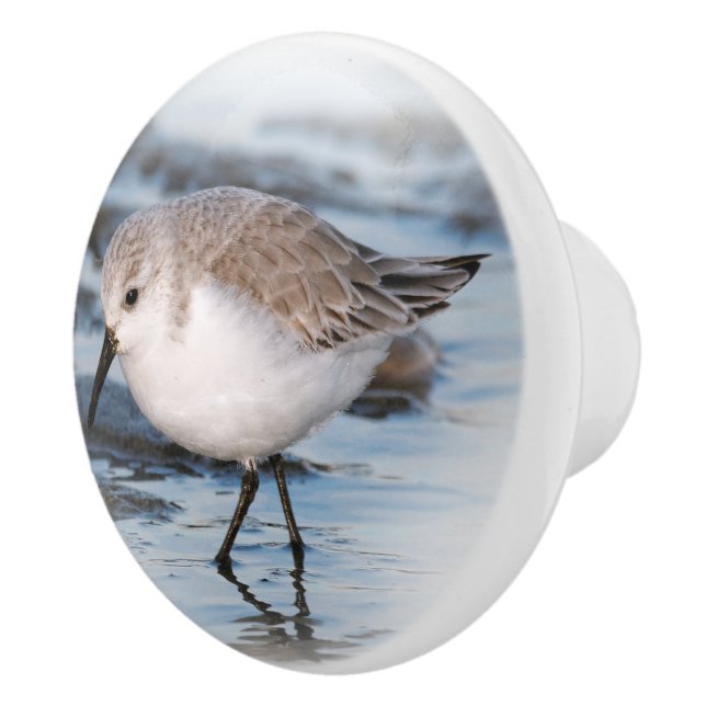 Bouton De Porte En Céramique Petit Sanderling mignon à la plage (Droite)