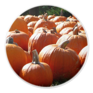 Bouton De Porte En Céramique Photo de citrouilles pour l'automne, Halloween ou