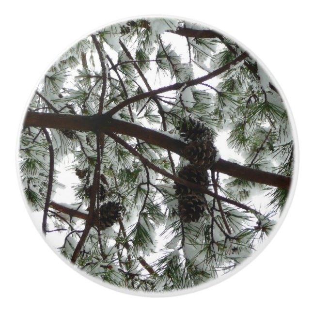 Bouton De Porte En Céramique Photo hivernale sous le pin couvert de neige (Devant)