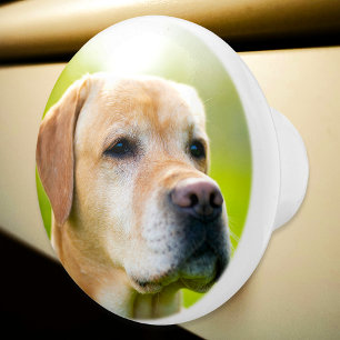 Bouton De Porte En Céramique Photo Personnalisée Porte Et Douche