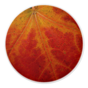 Bouton De Porte En Céramique Photographie abstraite de la feuille d'érable roug