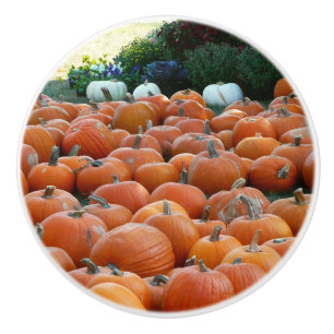 Bouton De Porte En Céramique Photographie de récolte d'automne des citrouilles