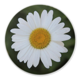 Bouton De Porte En Céramique Photographie élevée de def d'une marguerite