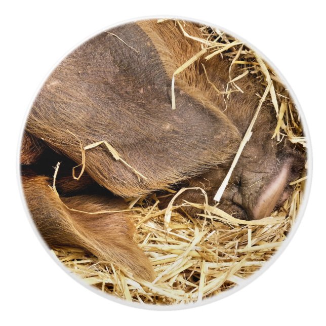 BOUTON DE PORTE EN CÉRAMIQUE PIÈCES (Devant)