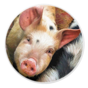 BOUTON DE PORTE EN CÉRAMIQUE PIGS