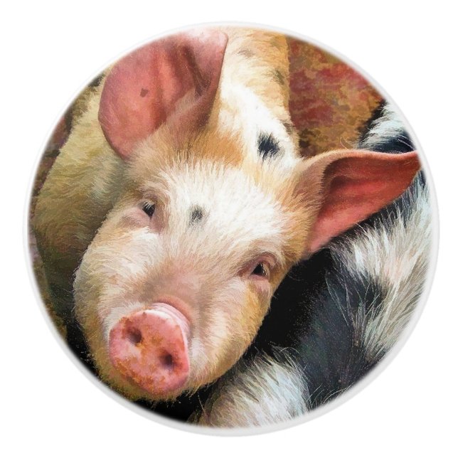 BOUTON DE PORTE EN CÉRAMIQUE PIGS (Devant)